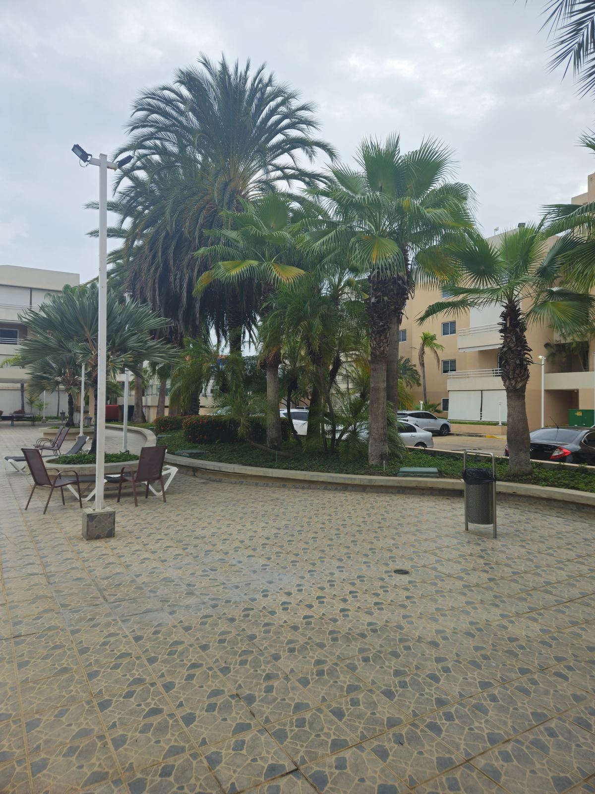 Jardines y palmeras del conjunto